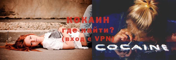 метадон Алексин